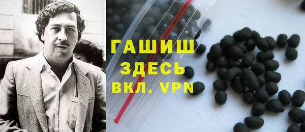 стаф Алзамай
