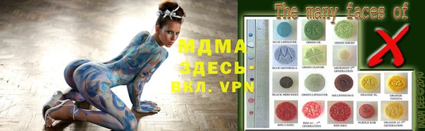 стаф Алзамай