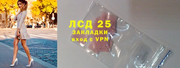 стаф Алзамай