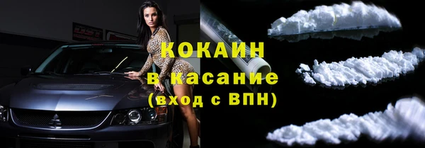 стаф Алзамай
