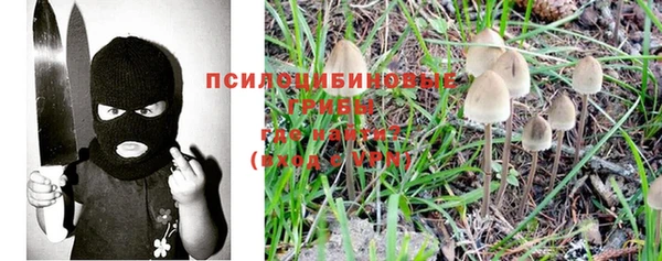 стаф Алзамай