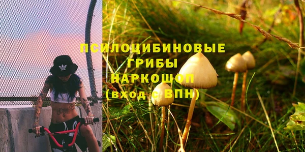 spice Алексеевка