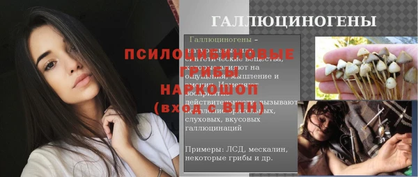 spice Алексеевка